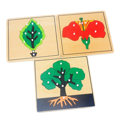 Plant Growth Panel Wooden