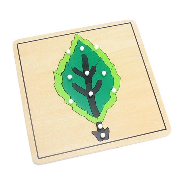 Plant Growth Panel Wooden