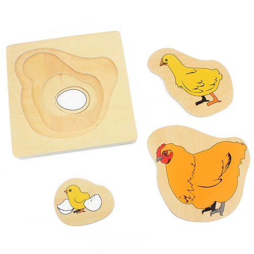 Life Cycle of Hen Egg Hatching Grow Up Puzzles