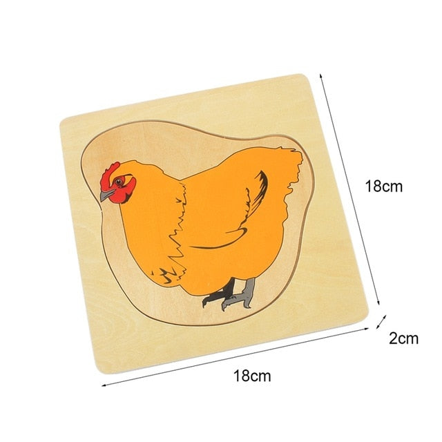 Life Cycle of Hen Egg Hatching Grow Up Puzzles