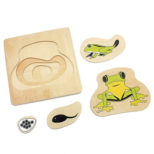 Life Cycle  Puzzles Multi-layer (Frog / Butterfly / Sunflower / Woman / Man )