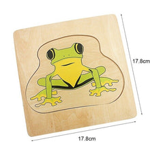 Load image into Gallery viewer, Life Cycle  Puzzles Multi-layer (Frog / Butterfly / Sunflower / Woman / Man )