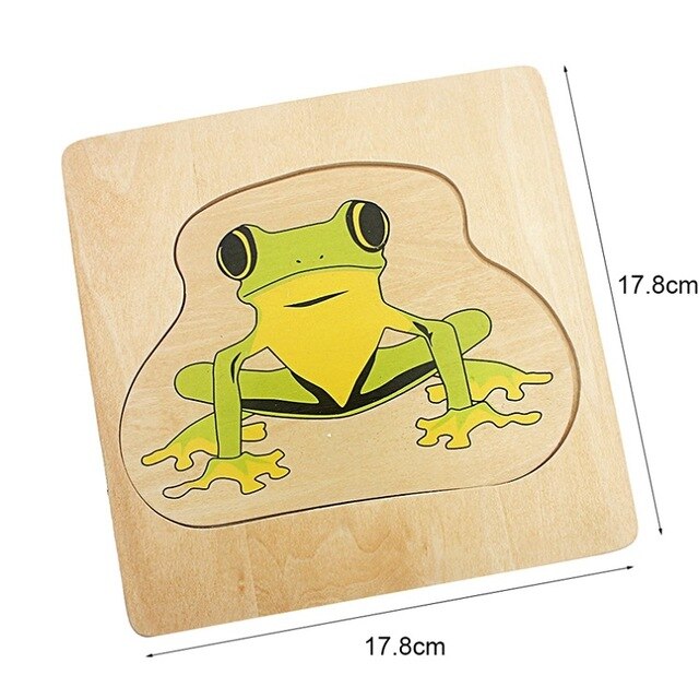 Life Cycle  Puzzles Multi-layer (Frog / Butterfly / Sunflower / Woman / Man )