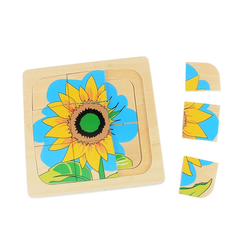 Life Cycle of Sunflower Puzzles Jingsaw