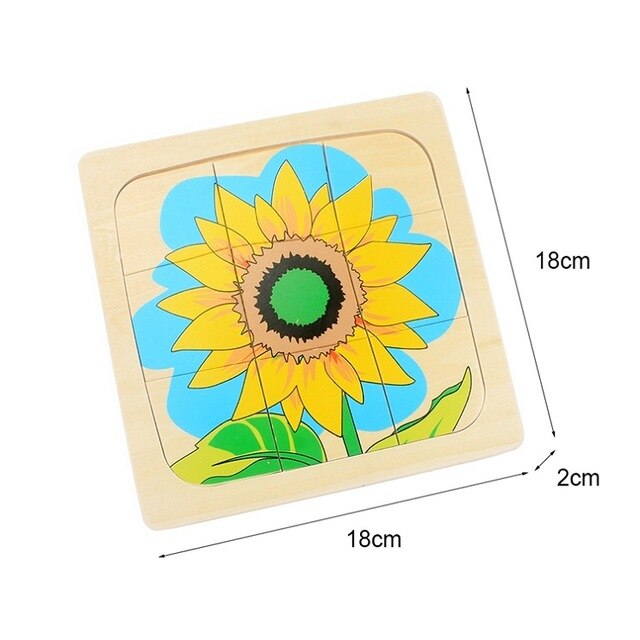 Life Cycle of Sunflower Puzzles Jingsaw