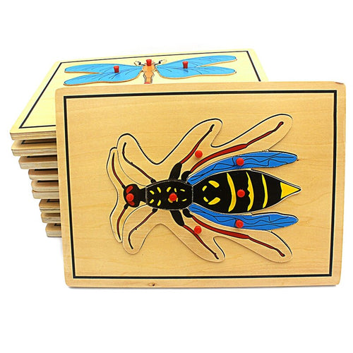 Wasp Pegged Puzzle