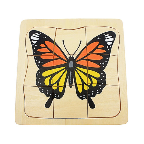 Life Cycle of Butterfly Grow up 3D Puzzle