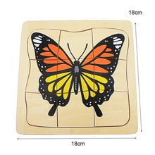 Load image into Gallery viewer, Life Cycle of Butterfly Grow up 3D Puzzle