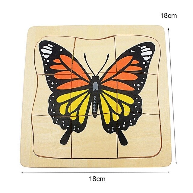 Life Cycle of Butterfly Grow up 3D Puzzle