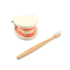 Practical Life Simulated Tooth Toy